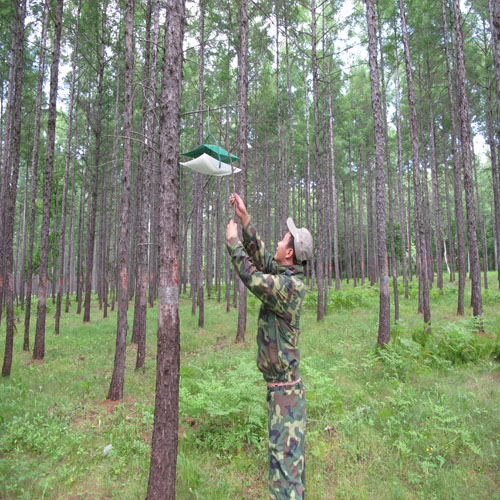 ������ë�����ղ���