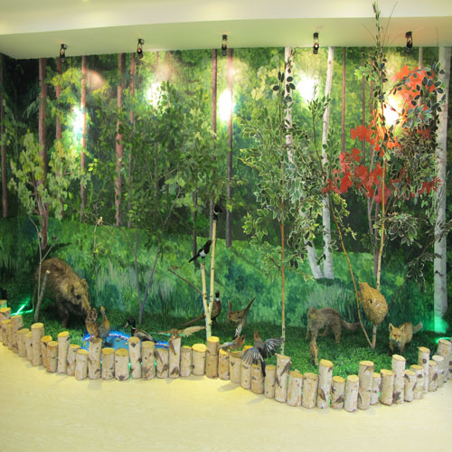 ������ɭ��վ��Ϣ���걾��