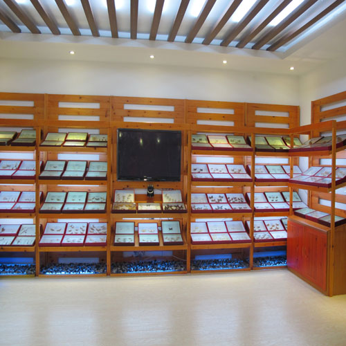 ������ɭ��վ��Ϣ���걾��