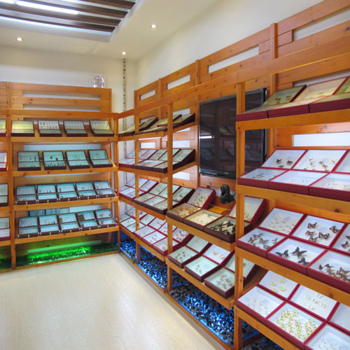 ������ɭ��վ��Ϣ���걾��