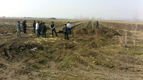 �����ֳ���