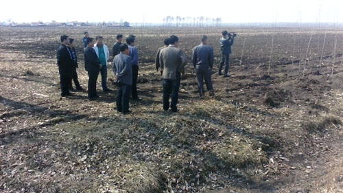 �����ֳ���